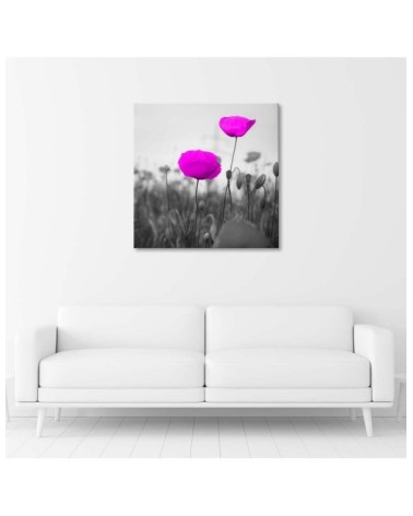 Leinwandbild - Lila Mohnblumen auf der Wiese | Feeby