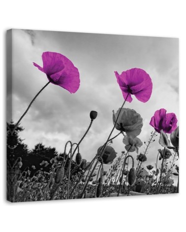 Canvas painting for living room - Purple poppy flowers | FEEBY