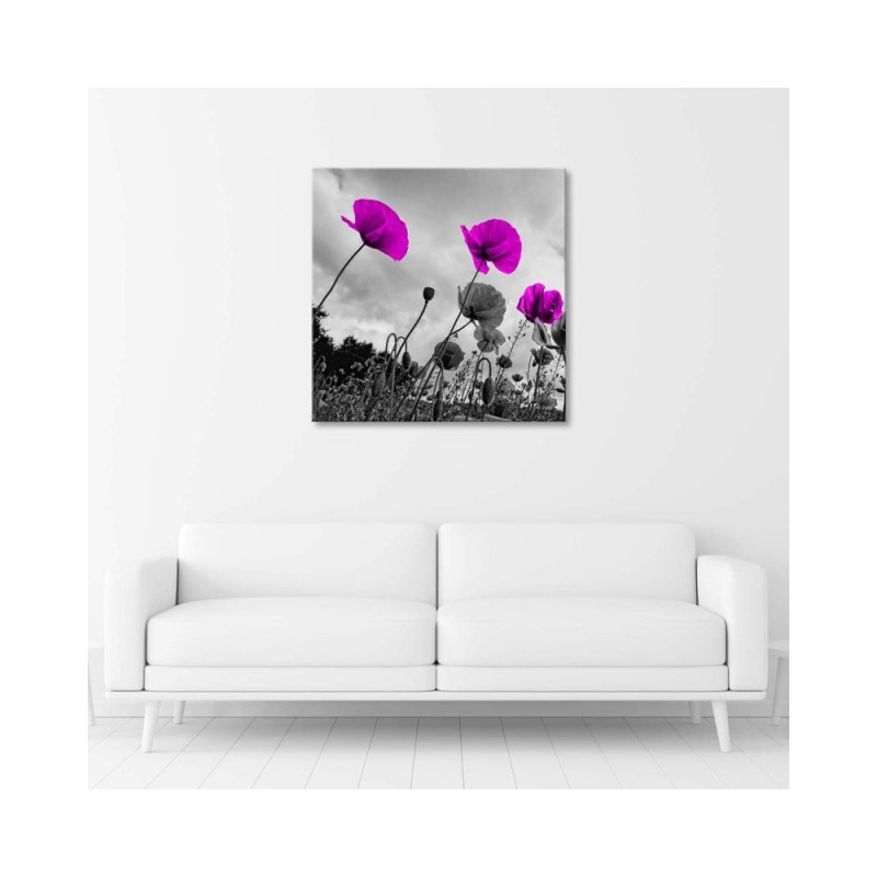 Bild auf Leinwand - Lila Mohnblumen | Feeby