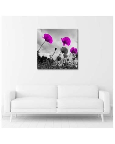 Bild auf Leinwand - Lila Mohnblumen | Feeby