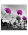 Canvas painting for living room - Purple poppy flowers | FEEBY