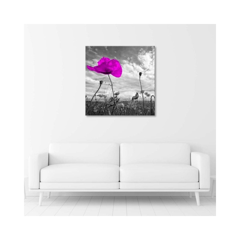 Leinwandbild modern - Lila Mohnblumen | Feeby