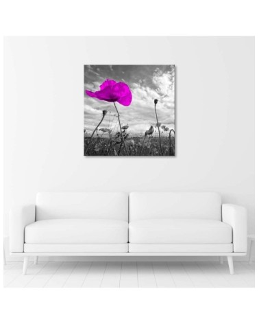 Leinwandbild modern - Lila Mohnblumen | Feeby