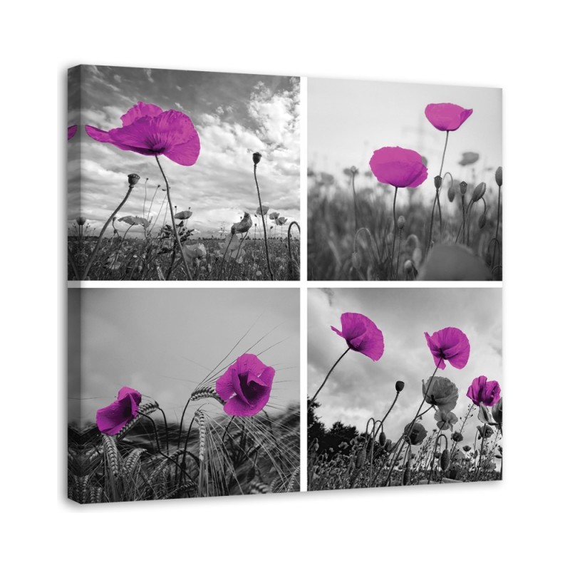 Leinwandbild - Lila Mohnblumen | Feeby