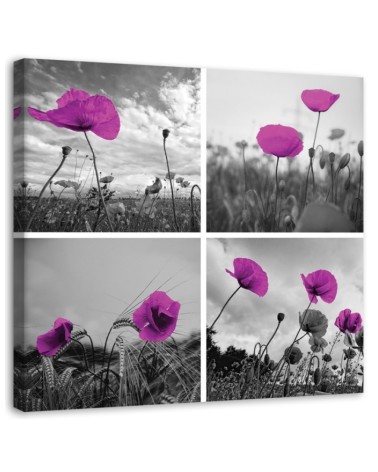 Leinwandbild - Lila Mohnblumen | Feeby