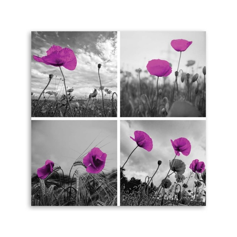 Leinwandbild - Lila Mohnblumen | Feeby