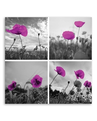 Leinwandbild - Lila Mohnblumen | Feeby