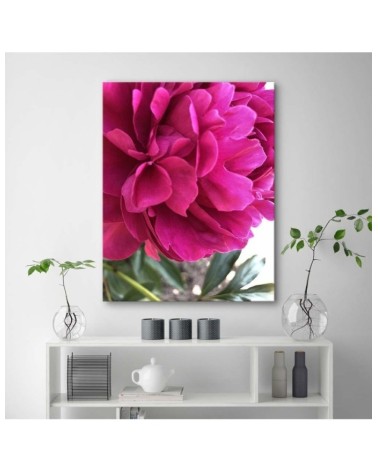 Bild auf Leinwand - Rosa Pfingstrose | Feeby