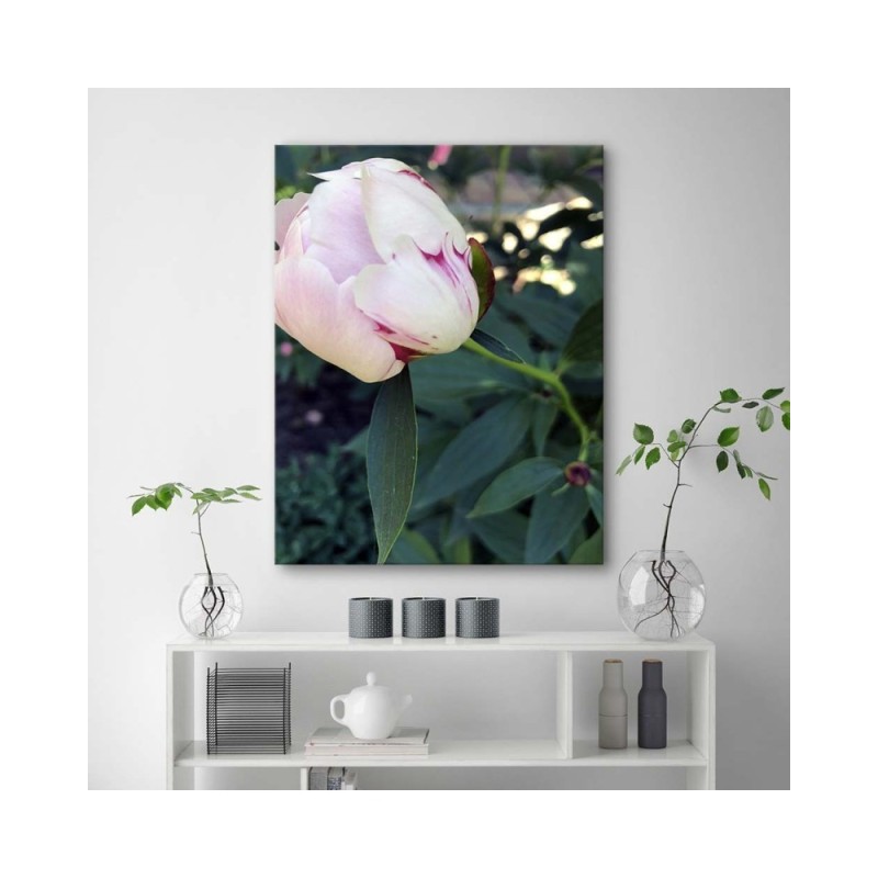 Leinwandbild - Weiße Pfingstrose | Feeby