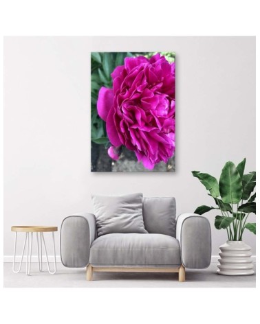 Dekoratives Leinwandbild - Blühende Pfingstrose | Feeby