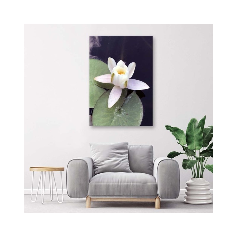 Leinwandbild - Wasserlilie | Feeby