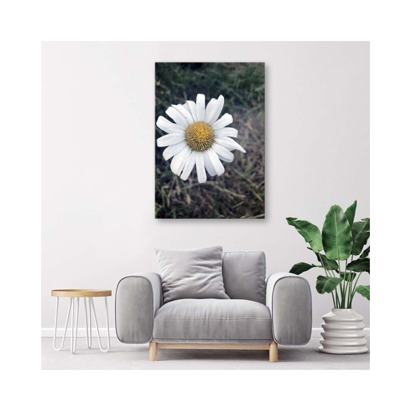 Modernes Wandbild - Kamille | Feeby