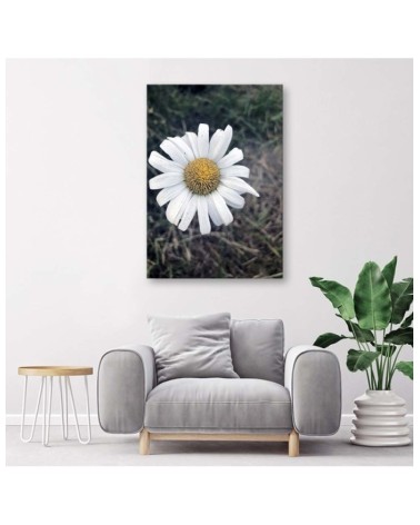 Modernes Wandbild - Kamille | Feeby