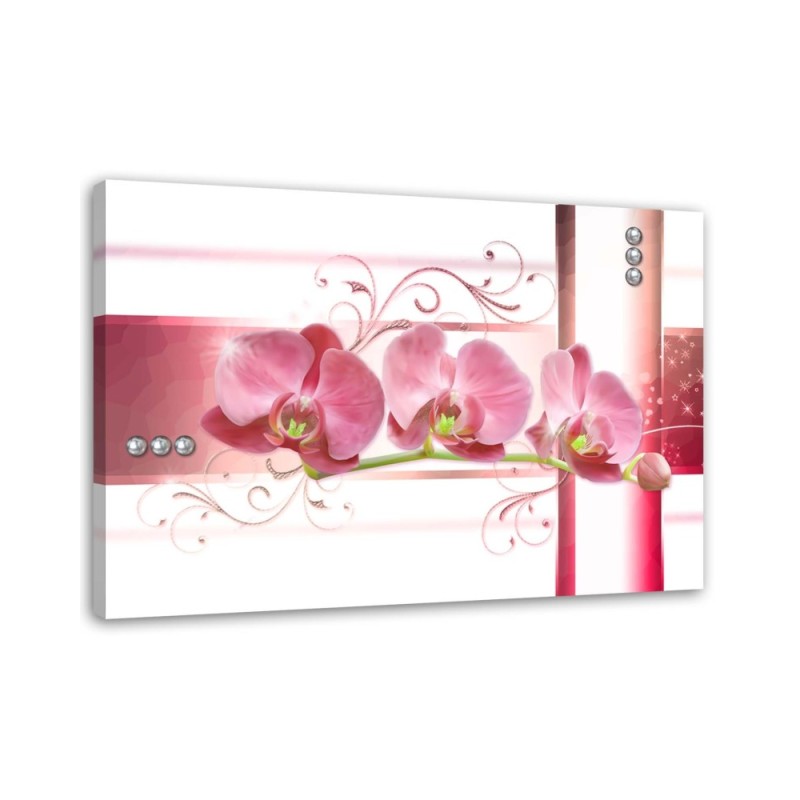 Leinwandbild - Orchideen - abstrakt auf weißem Hintergrund | Feeby