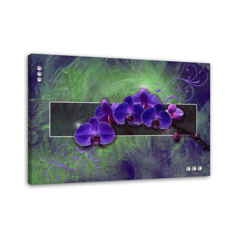 Bild auf Leinwand - Orchidee in Lila | Feeby