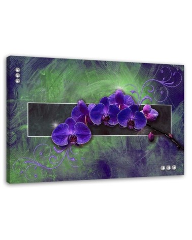 Orchid in purple - Pictures on Canvas for the living room | FEEBY