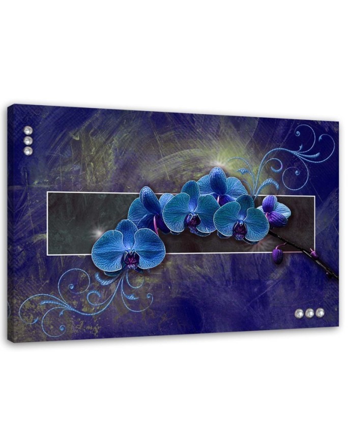 Orchidea w kolorze błękitu - Obraz na płótnie canvas | FEEBY