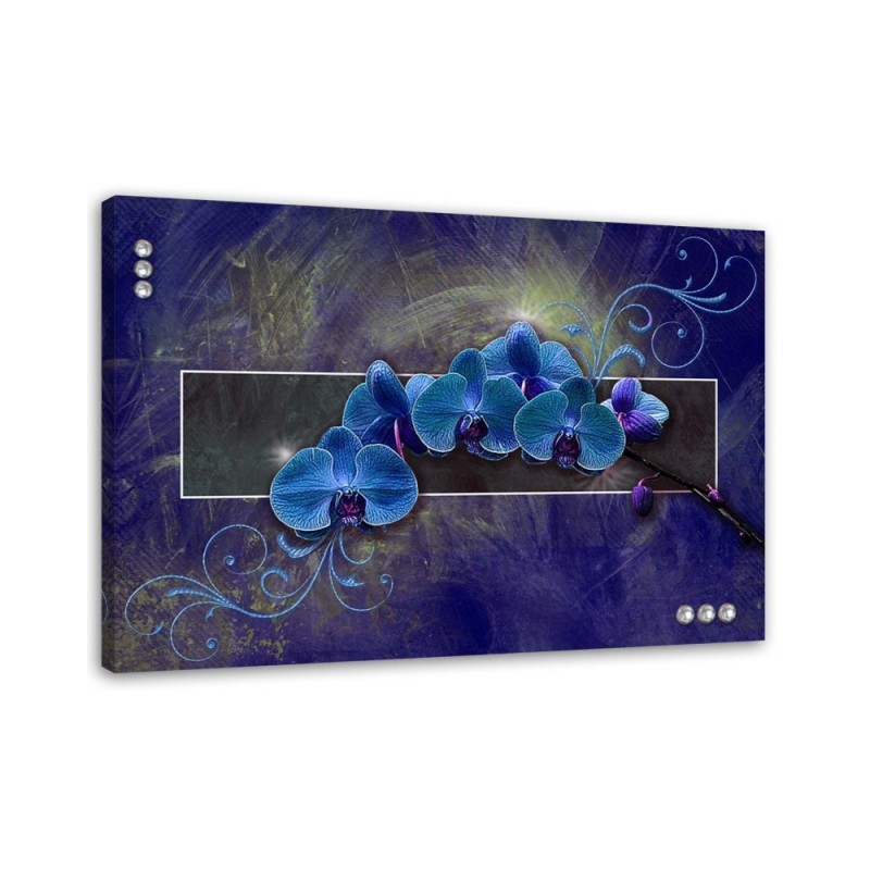 Orchidea w kolorze błękitu - Obraz na płótnie canvas | FEEBY
