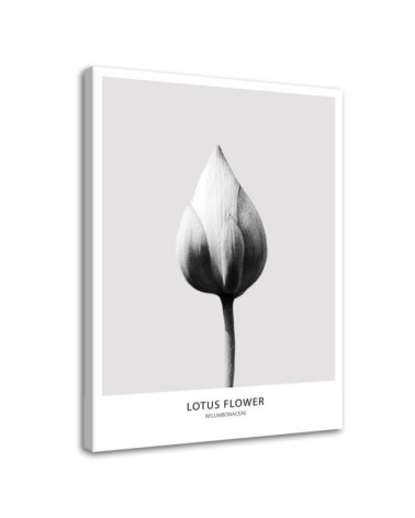 White lotus bud - Modern Canvas painting for the bedroom | FEEBY