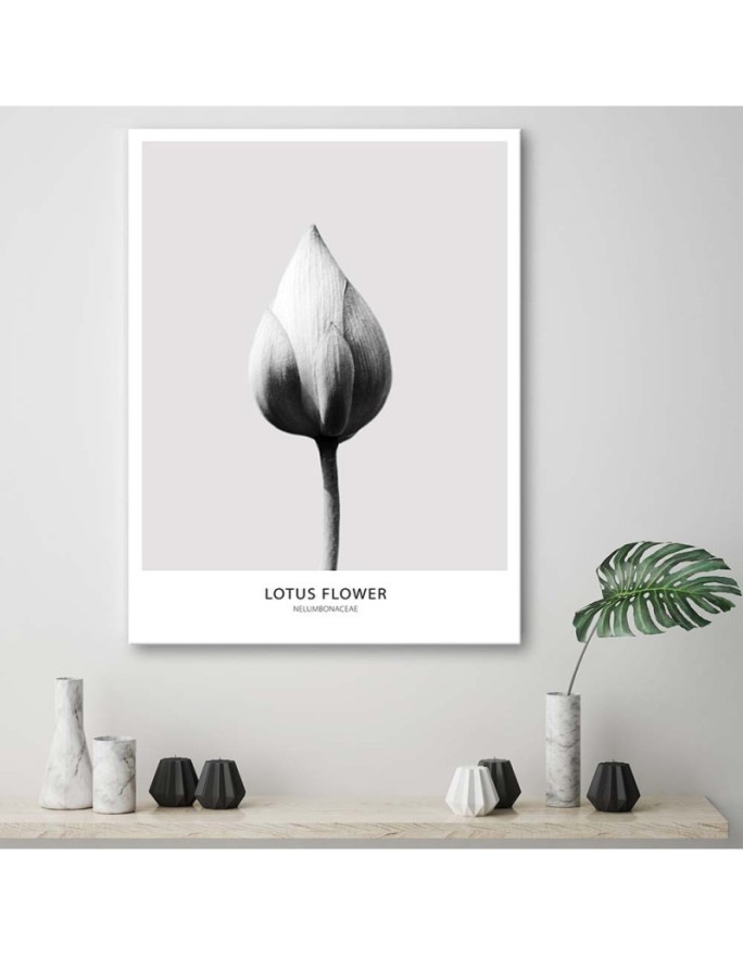 White lotus bud - Modern Canvas painting for the bedroom | FEEBY