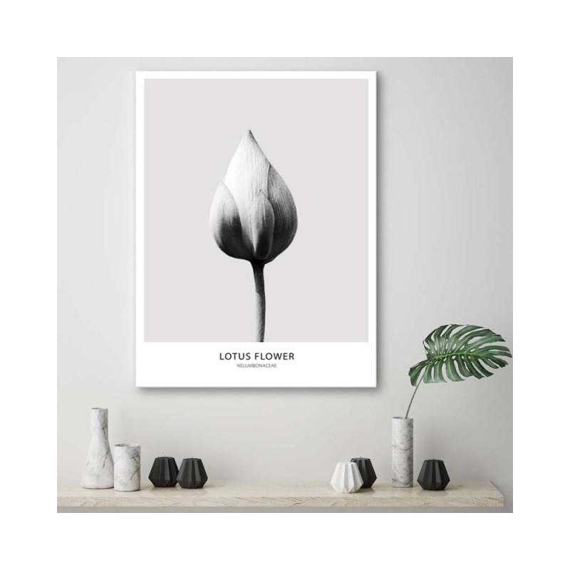 Leinwandbild modern - Weiße Lotosknospe | Feeby