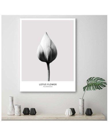 Leinwandbild modern - Weiße Lotosknospe | Feeby