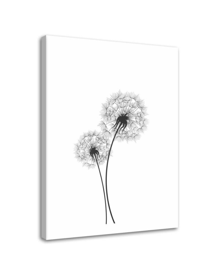 Bild auf Leinwand - Zwei Hüpfburgen | Feeby