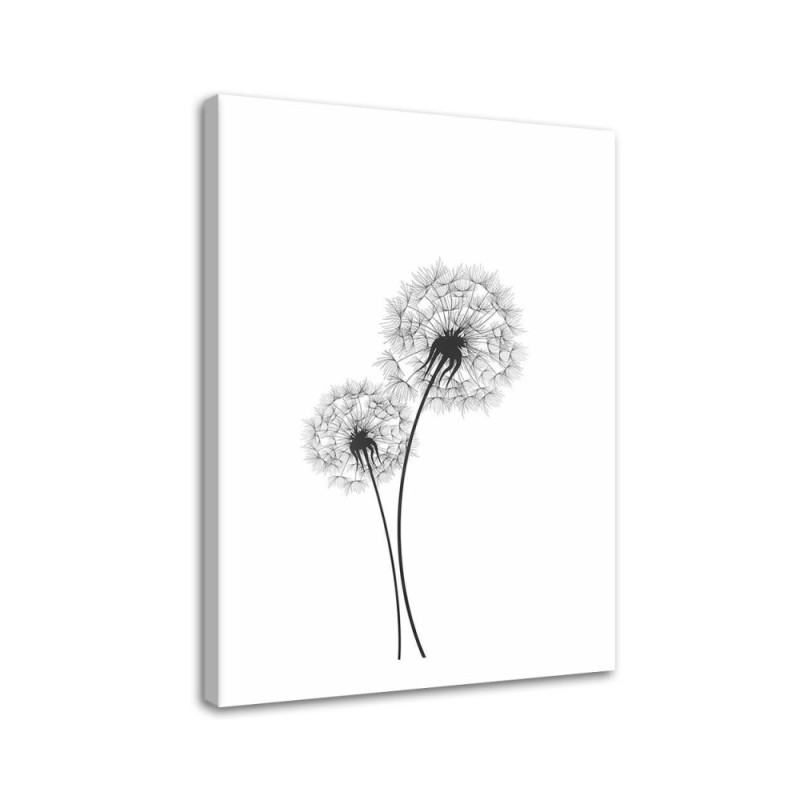 Bild auf Leinwand - Zwei Hüpfburgen | Feeby