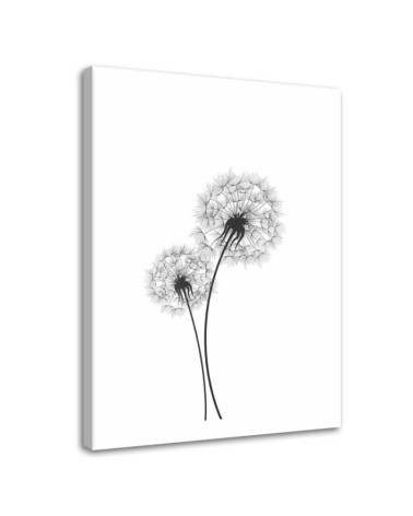 Bild auf Leinwand - Zwei Hüpfburgen | Feeby