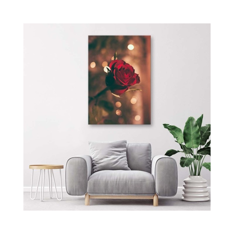 Leinwandbild - Rote Rosenblüte | Feeby