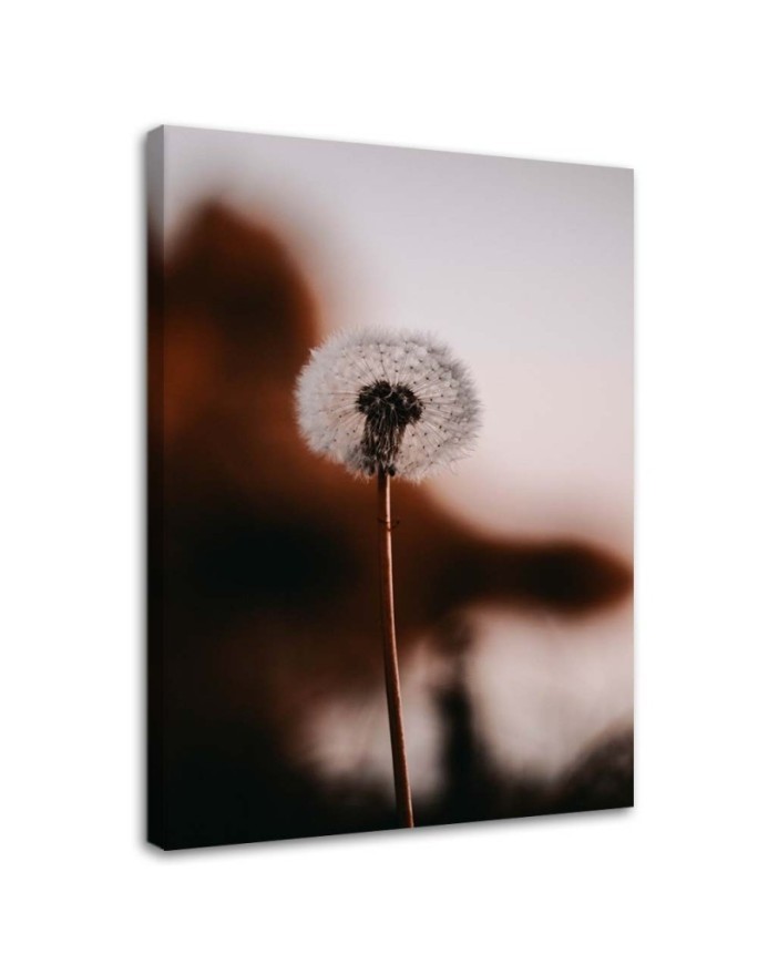 Wandbild für Wohnzimmer - Einsames Blasloch | Feeby