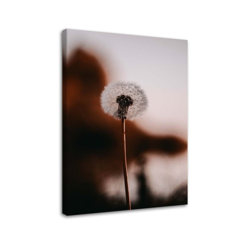 Wandbild für Wohnzimmer - Einsames Blasloch | Feeby