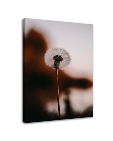 Wandbild für Wohnzimmer - Einsames Blasloch | Feeby