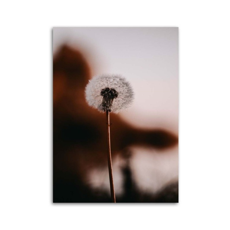 Wandbild für Wohnzimmer - Einsames Blasloch | Feeby