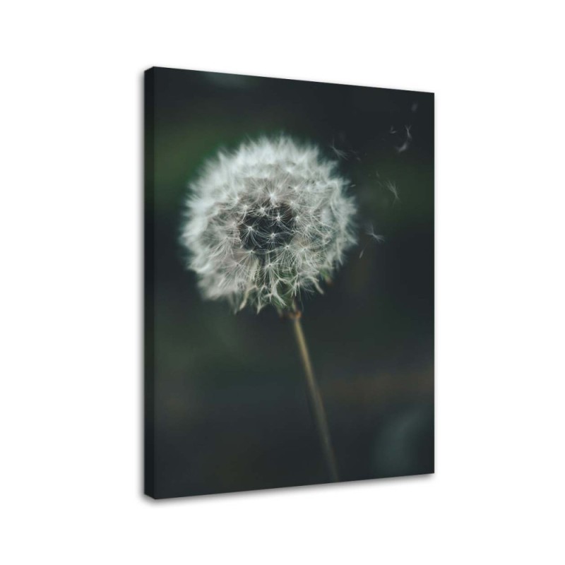 Leinwanddruck - Schmeißfliege im Wind | Feeby