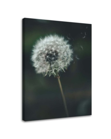 Dandelion in the wind - Canvas print | FEEBY