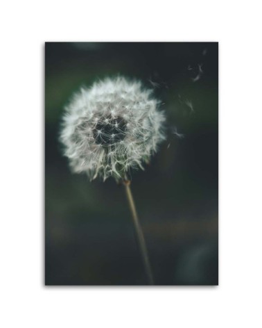 Leinwanddruck - Schmeißfliege im Wind | Feeby