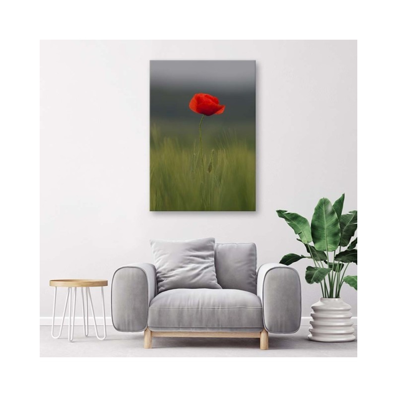 Leinwandbild - Mohn auf einem Feld | Feeby