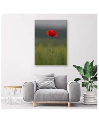 Leinwandbild - Mohn auf einem Feld | Feeby