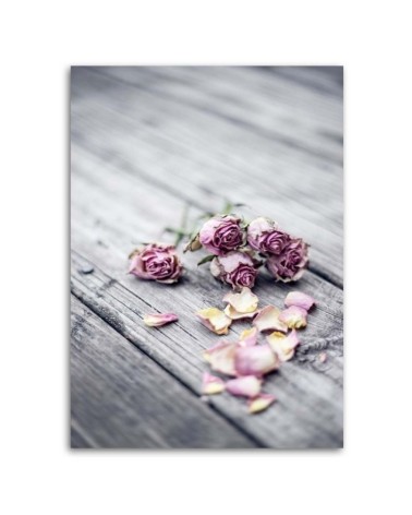 Wandbild für Wohnzimmer - Getrocknete Rosen | Feeby