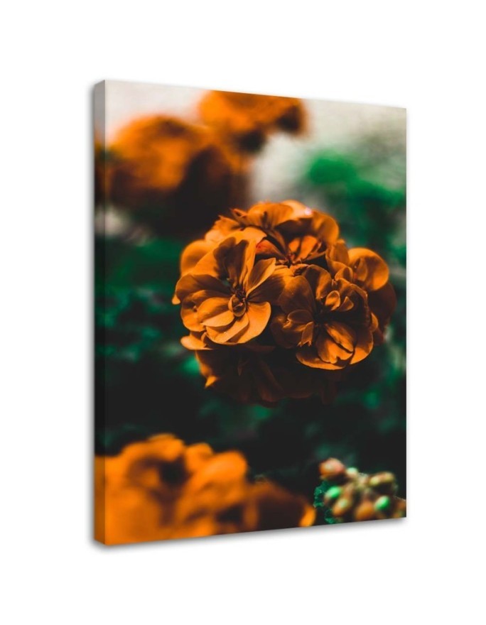 Dekoratives Leinwandbild - Orangefarbene Blumen | Feeby