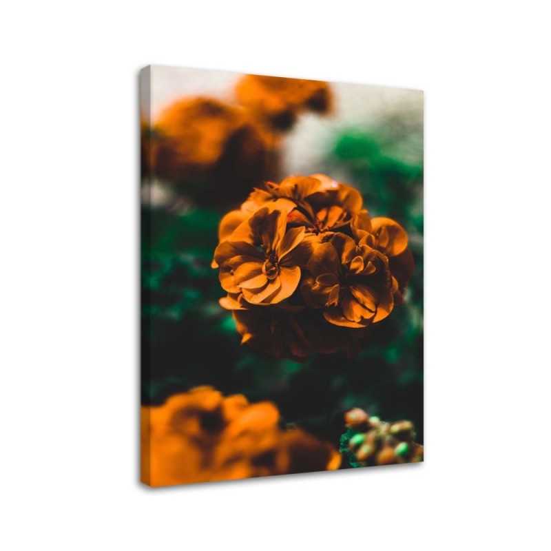 Dekoratives Leinwandbild - Orangefarbene Blumen | Feeby