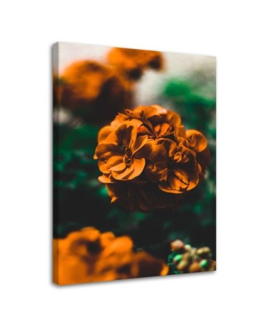 Orange flowers - Pictures on Canvas  for the living room | FEEBY