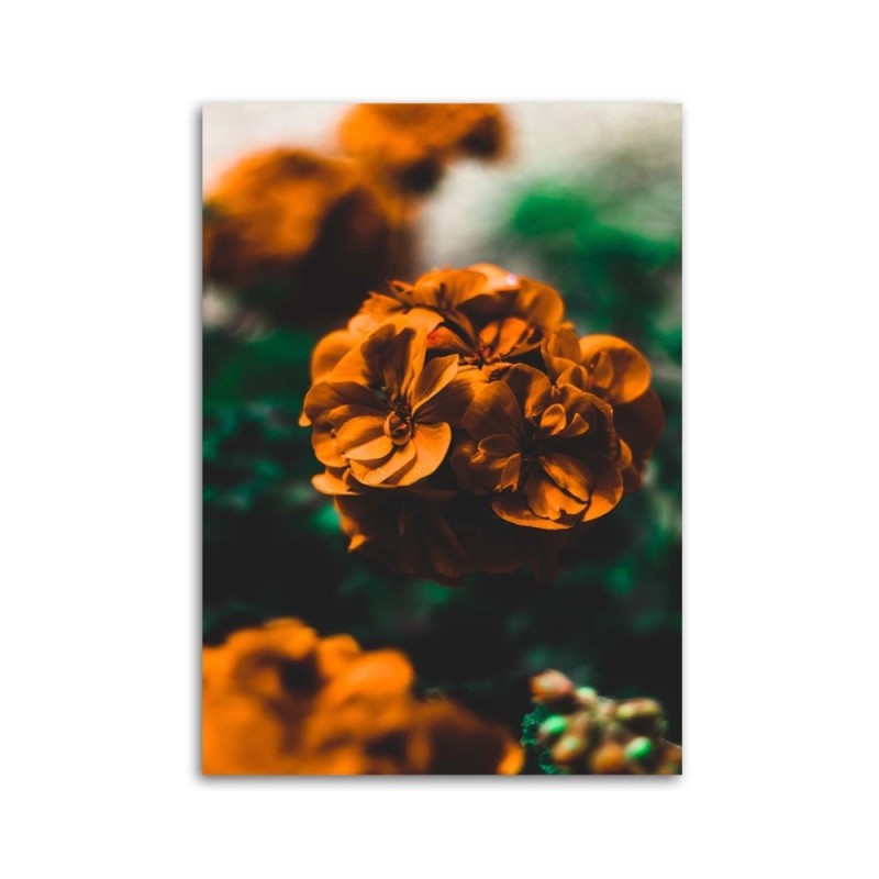 Dekoratives Leinwandbild - Orangefarbene Blumen | Feeby