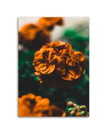 Dekoratives Leinwandbild - Orangefarbene Blumen | Feeby