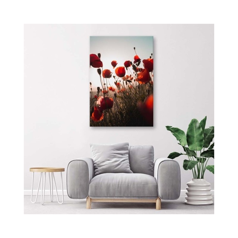Leinwandbild modern - Mohnblumen in der Sonne | Feeby