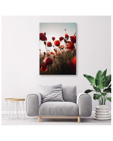 Leinwandbild modern - Mohnblumen in der Sonne | Feeby