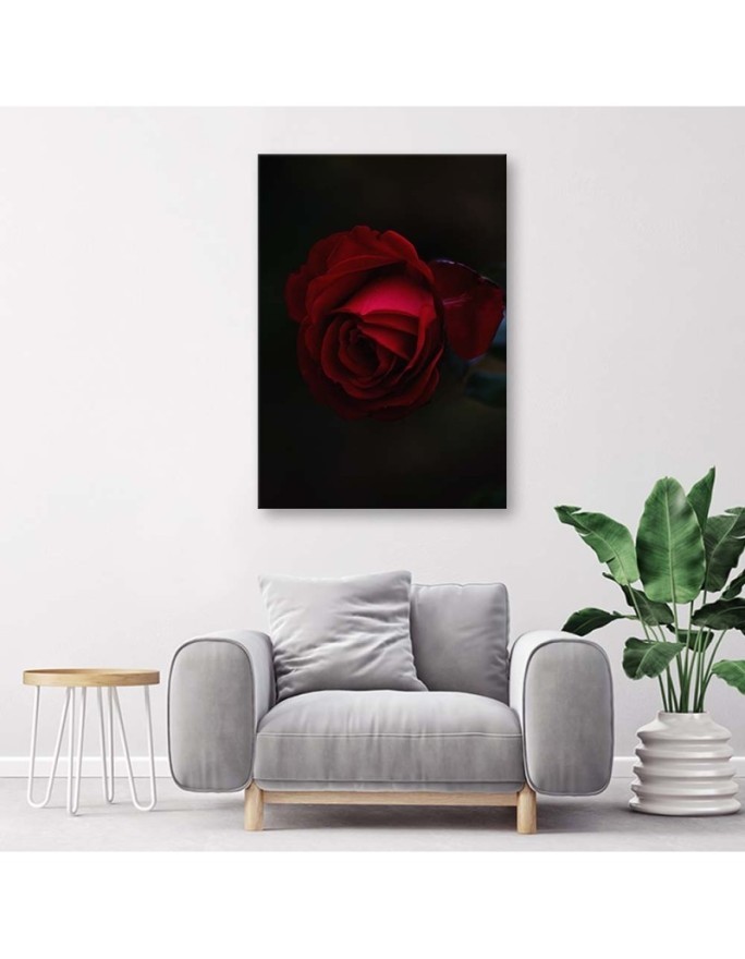 Obraz na płótnie canvas - Róża na czarnym tle | FEEBY