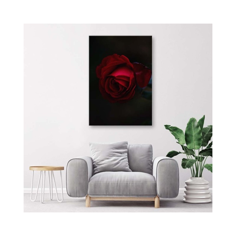 Leinwandbild - Rose auf schwarzem Hintergrund | Feeby