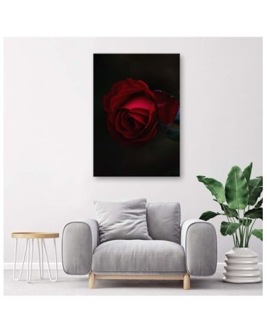 Leinwandbild - Rose auf schwarzem Hintergrund | Feeby
